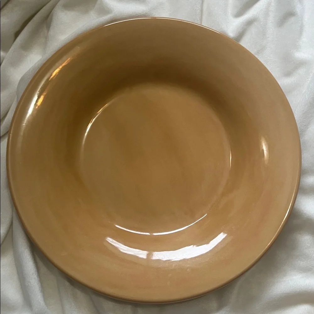Pottery Barn Sausalito 4 Dinner Plates each 12 Inches each